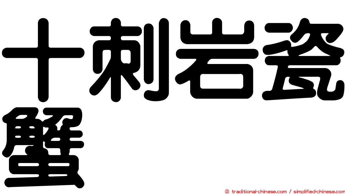 十刺岩瓷蟹