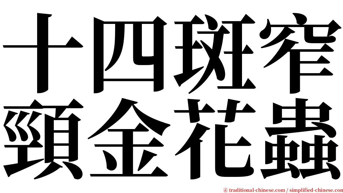 十四斑窄頸金花蟲 serif font