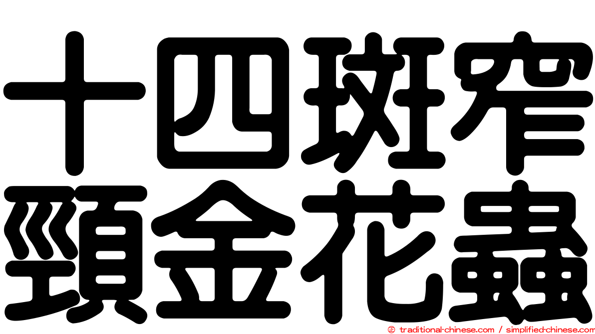 十四斑窄頸金花蟲