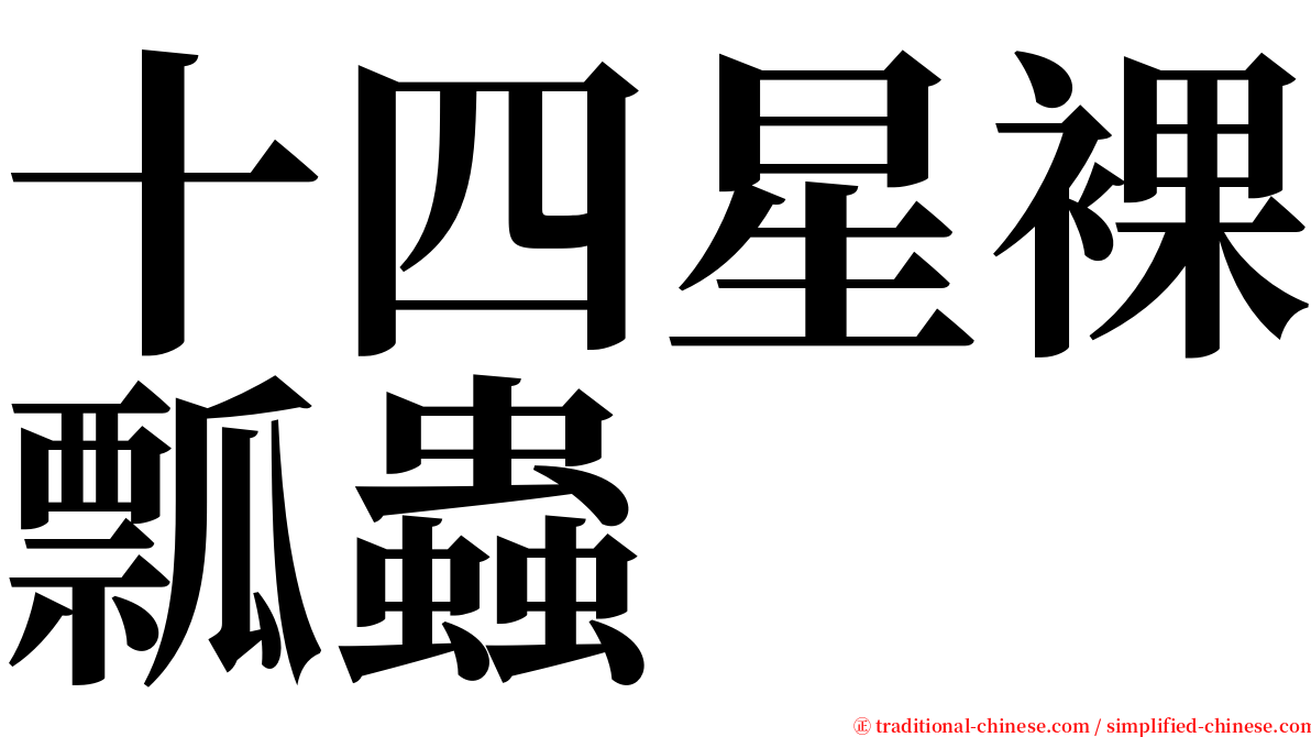 十四星裸瓢蟲 serif font