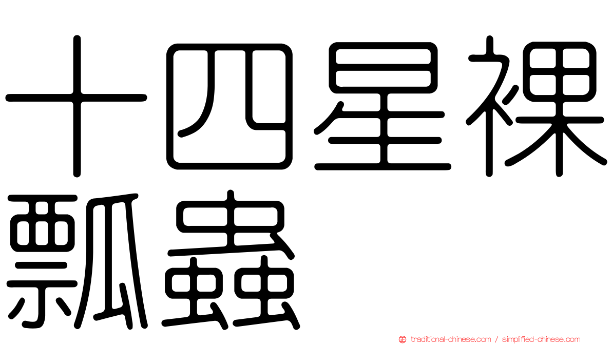 十四星裸瓢蟲