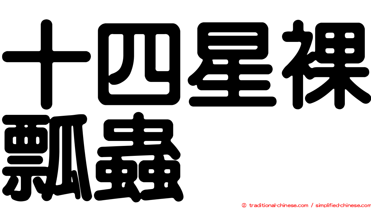十四星裸瓢蟲