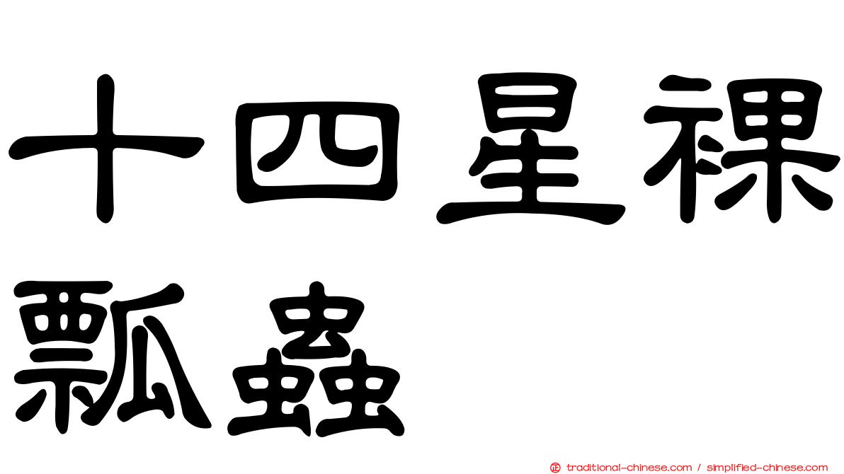 十四星裸瓢蟲