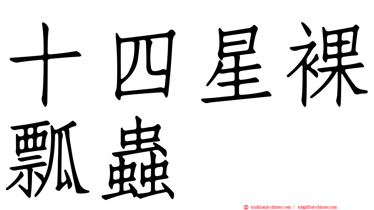 十四星裸瓢蟲