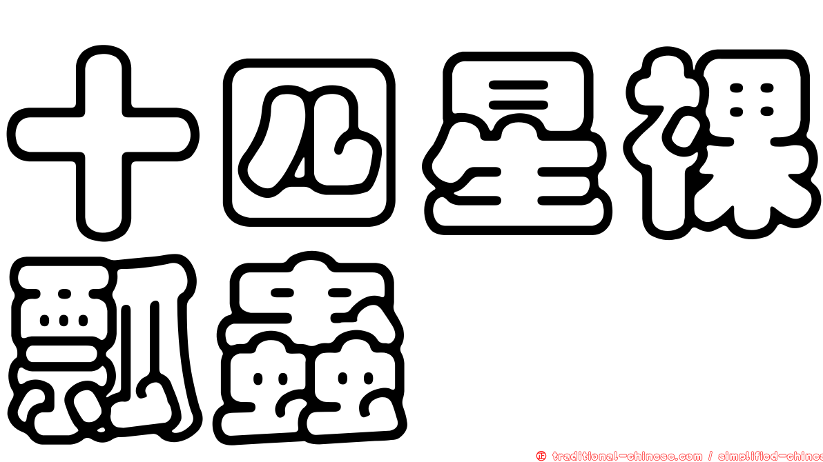 十四星裸瓢蟲