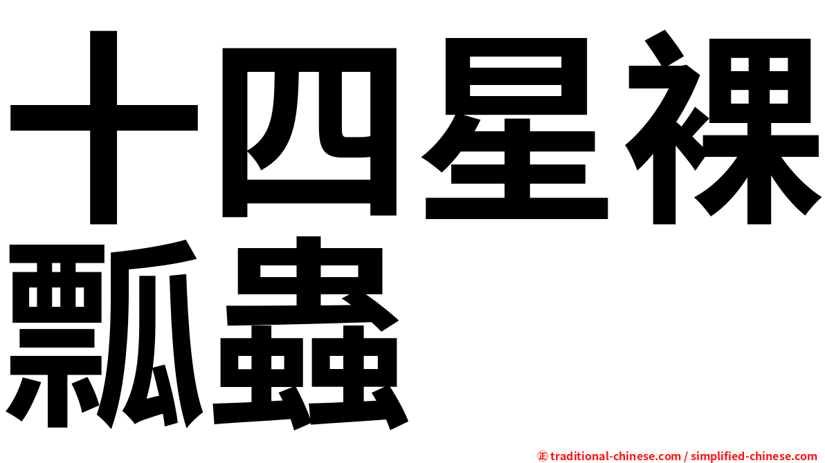 十四星裸瓢蟲