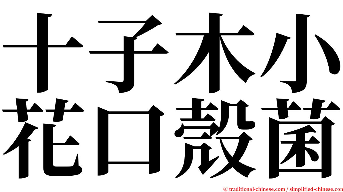 十子木小花口殼菌 serif font