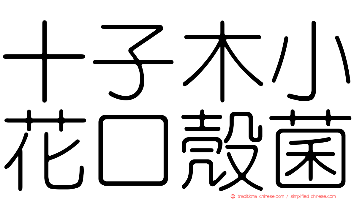 十子木小花口殼菌