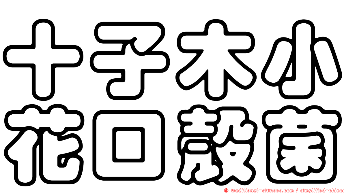 十子木小花口殼菌