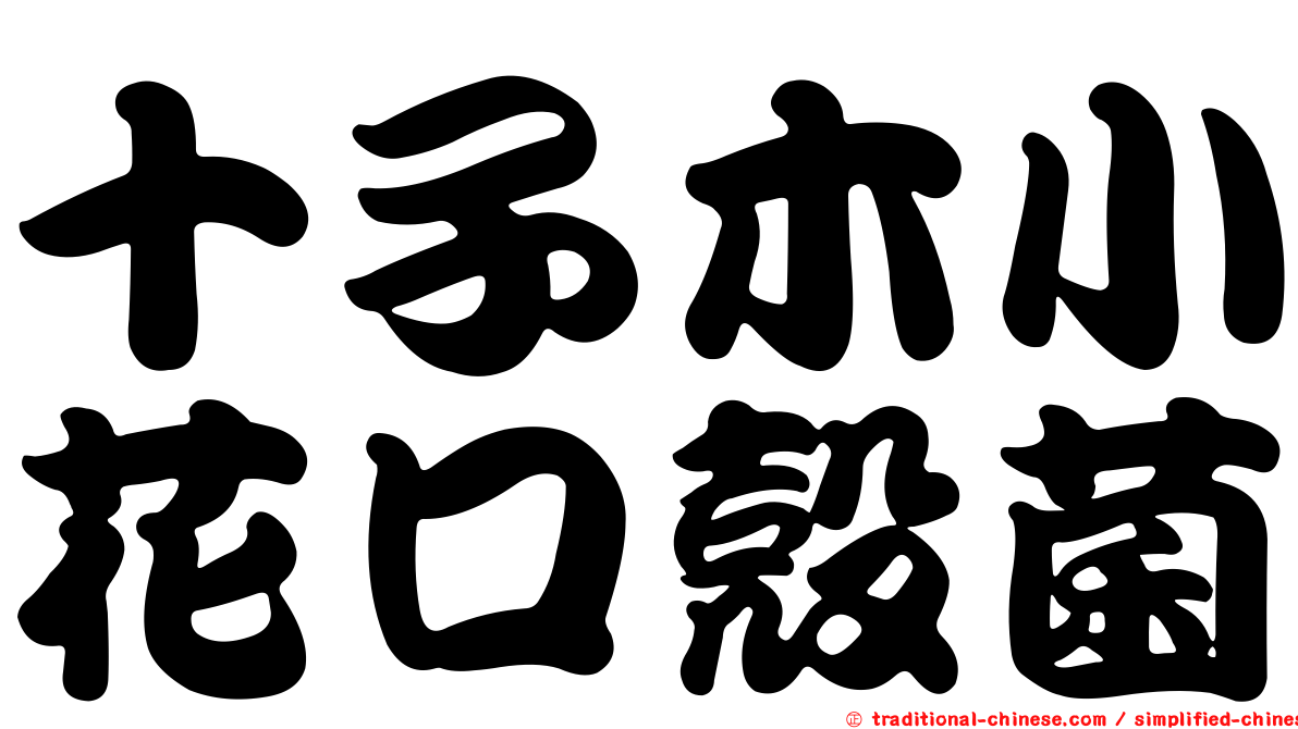 十子木小花口殼菌