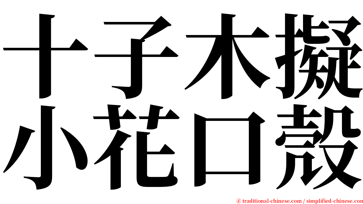十子木擬小花口殼 serif font