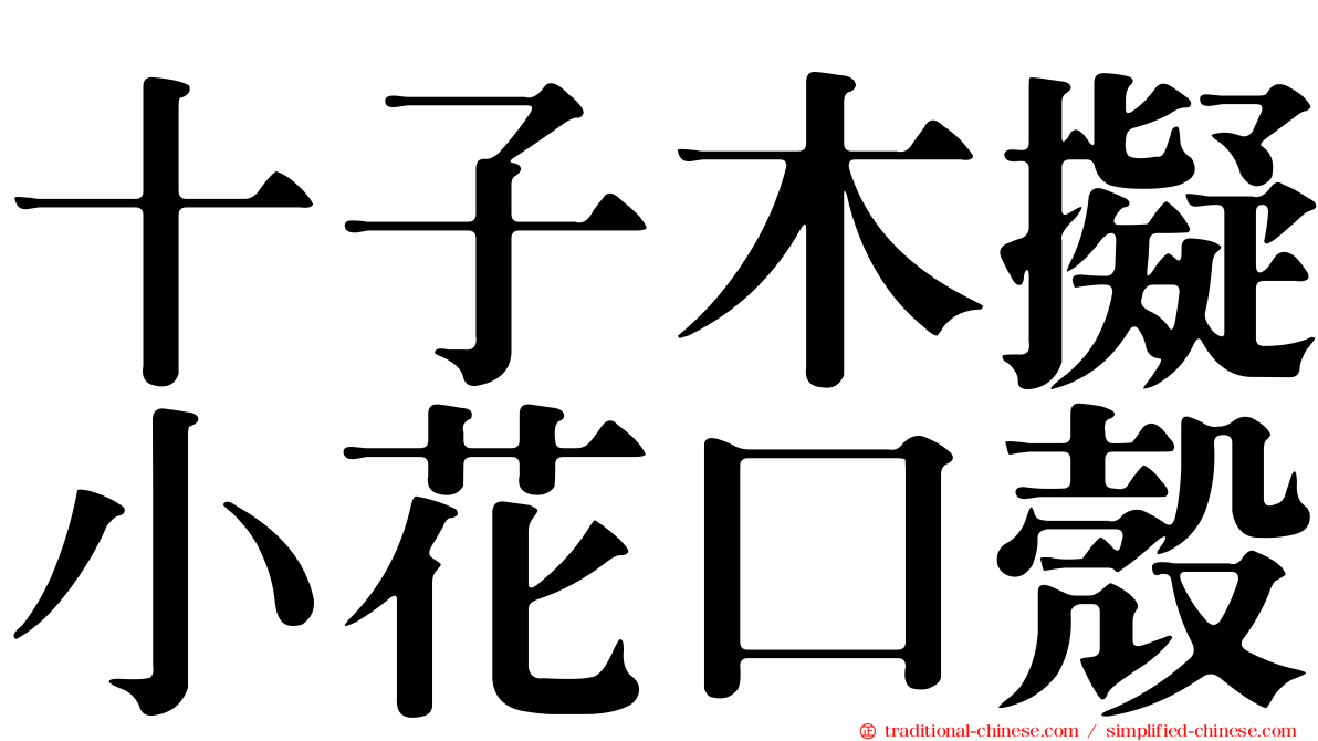 十子木擬小花口殼