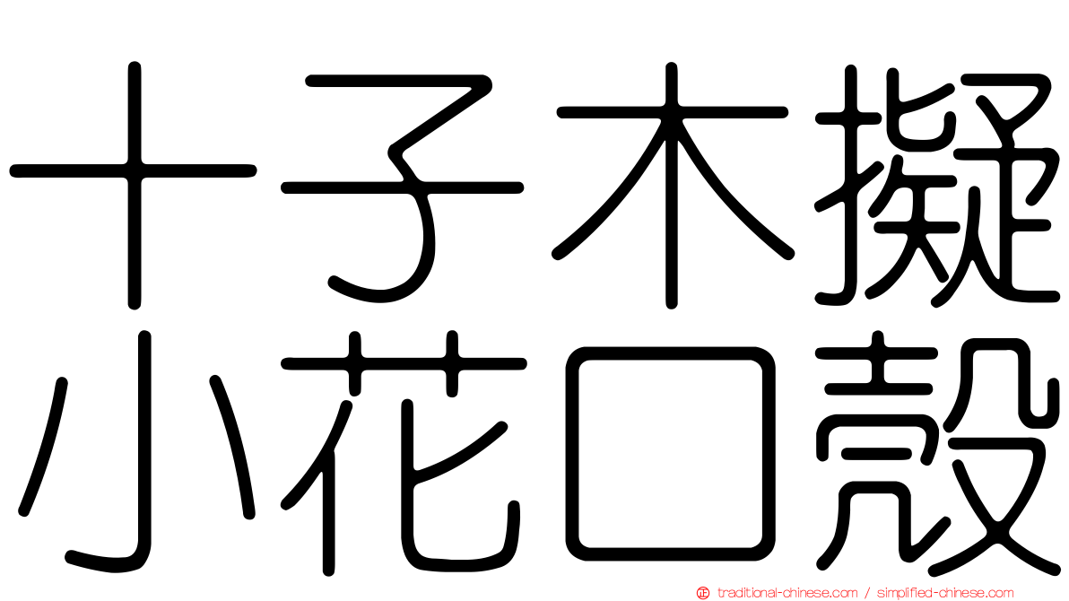 十子木擬小花口殼