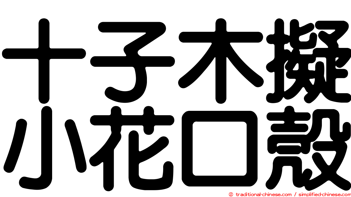 十子木擬小花口殼
