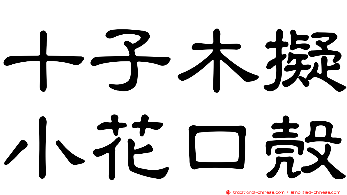 十子木擬小花口殼