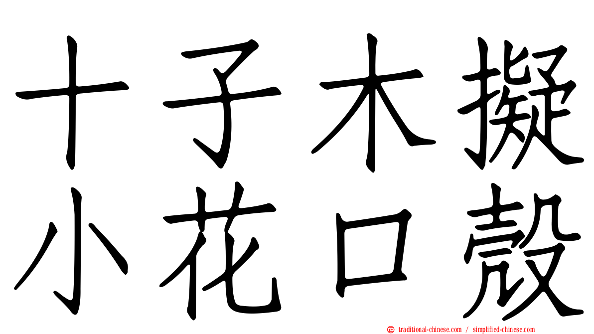 十子木擬小花口殼