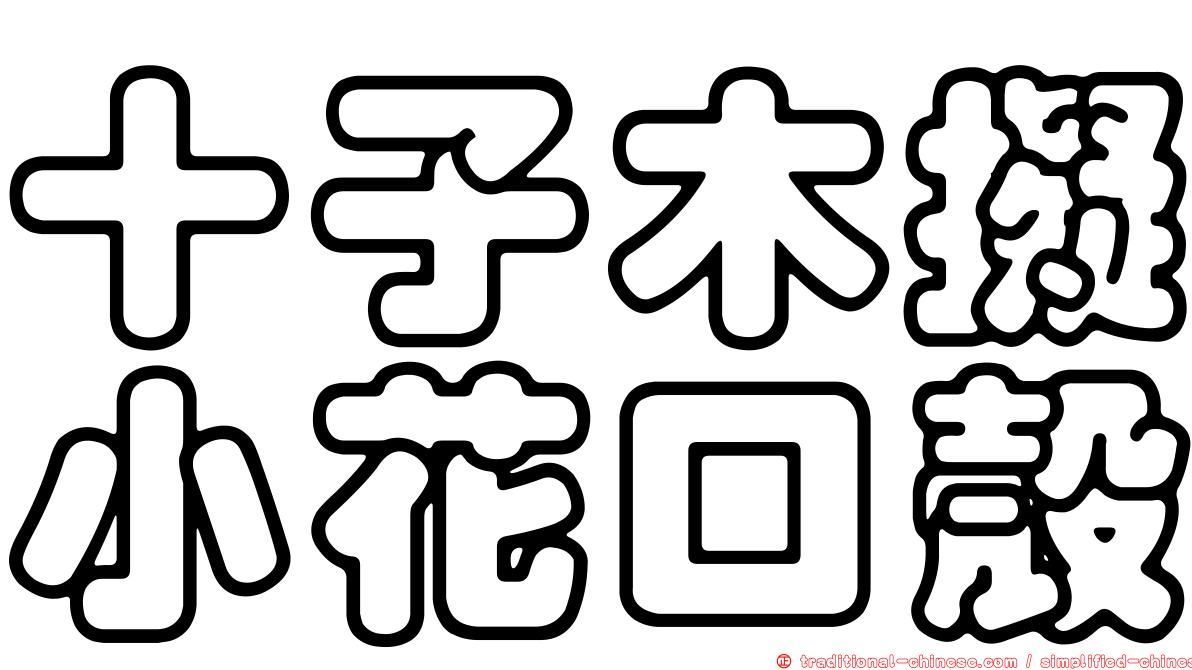 十子木擬小花口殼
