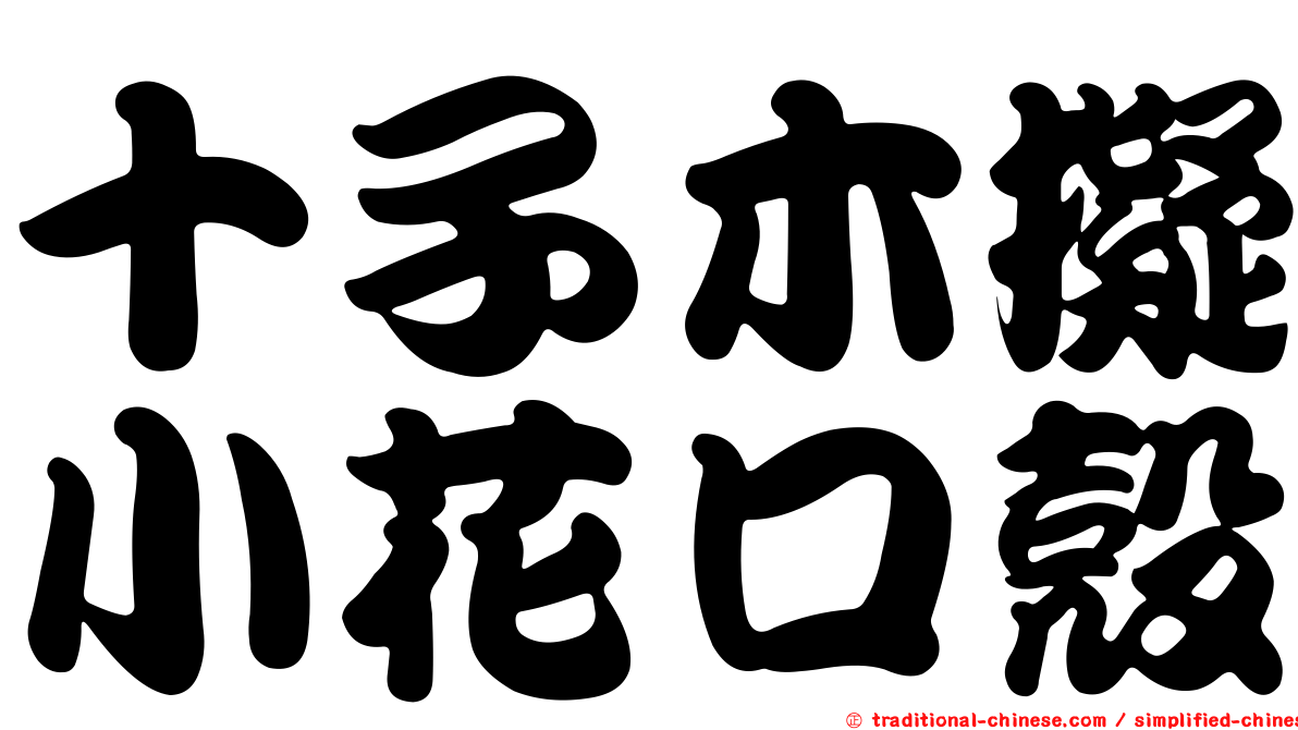 十子木擬小花口殼