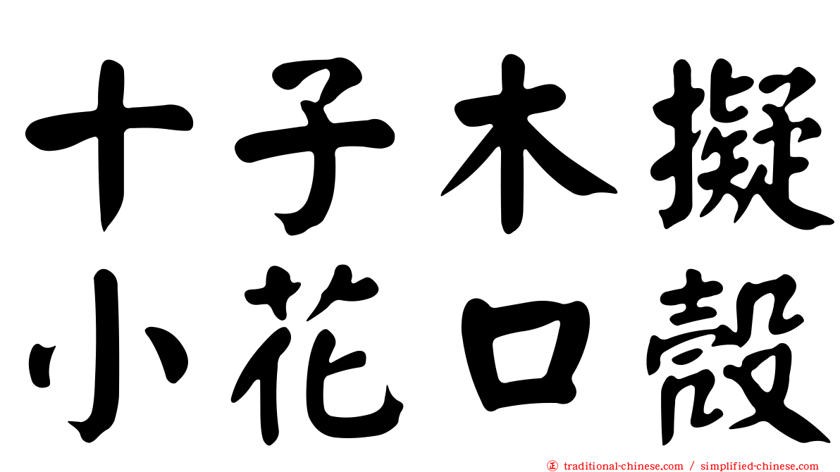 十子木擬小花口殼
