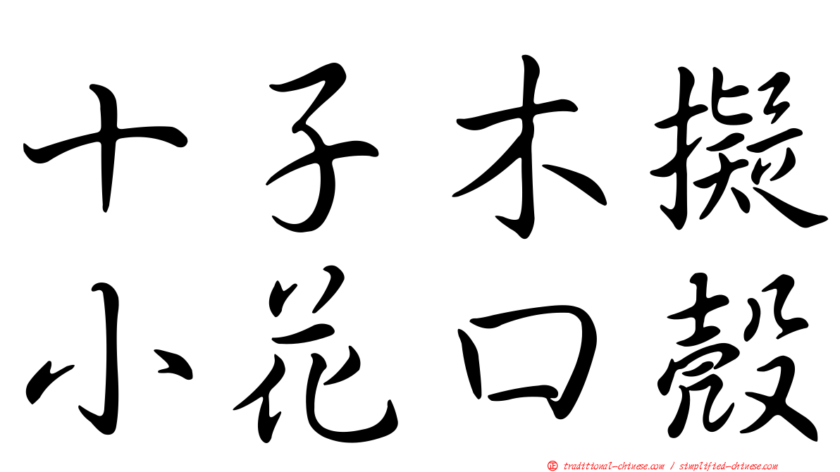 十子木擬小花口殼