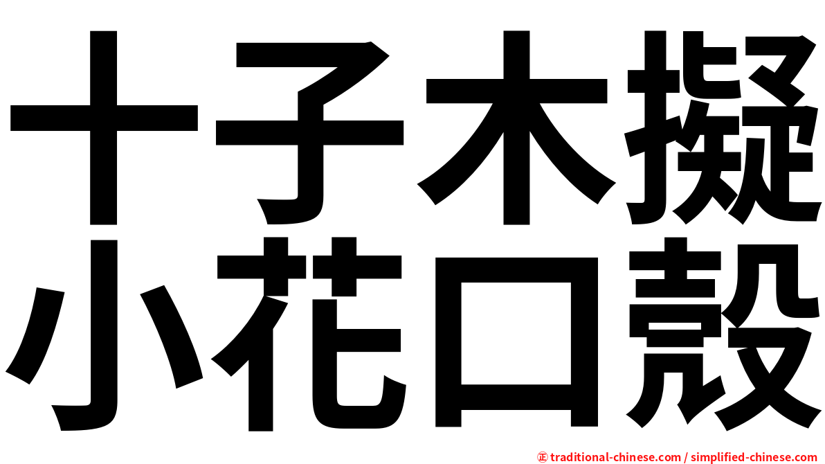 十子木擬小花口殼