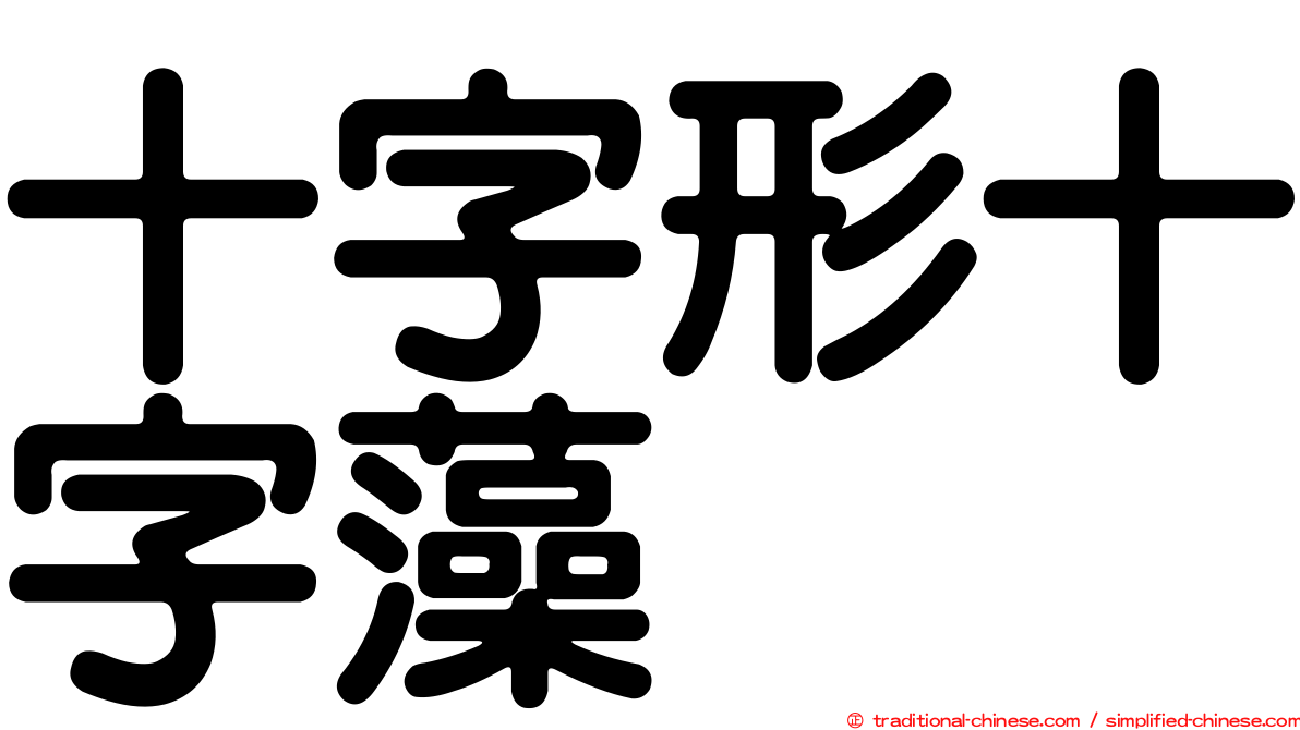 十字形十字藻