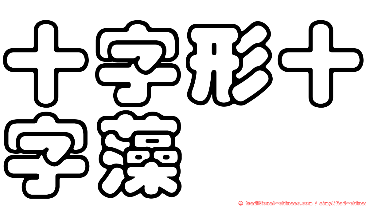 十字形十字藻