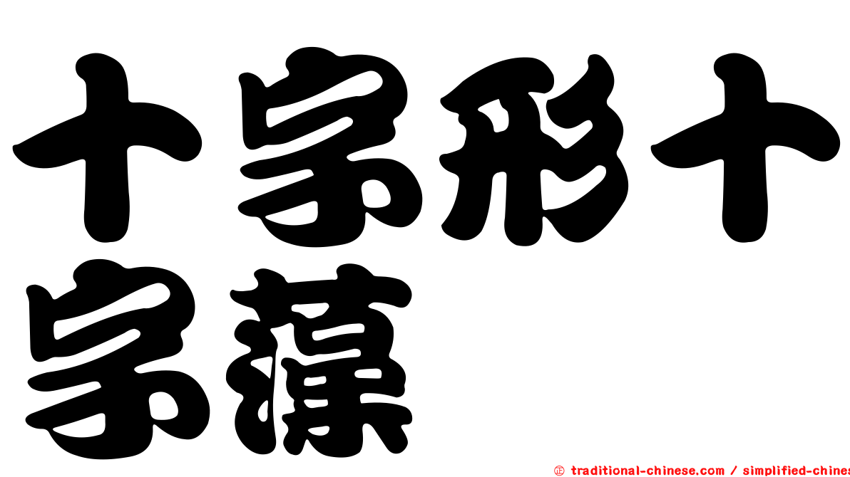 十字形十字藻