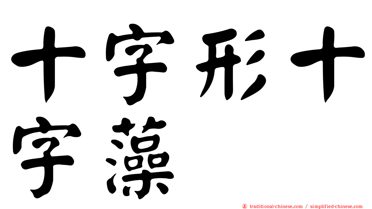 十字形十字藻