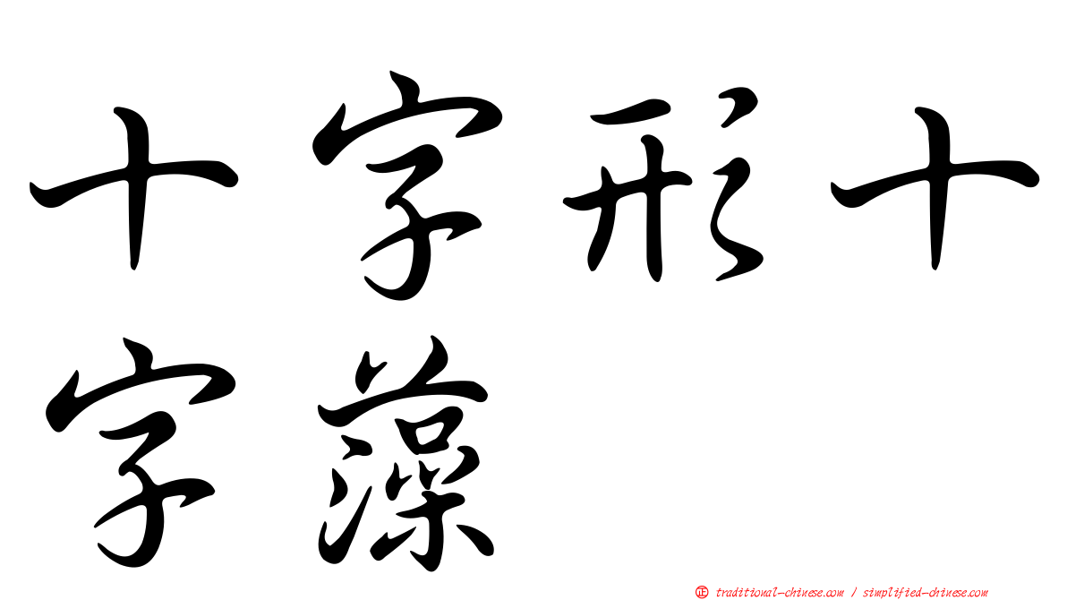 十字形十字藻