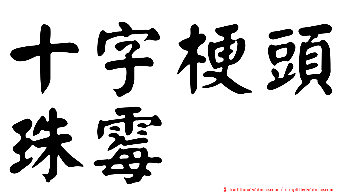 十字梗頭珠霉
