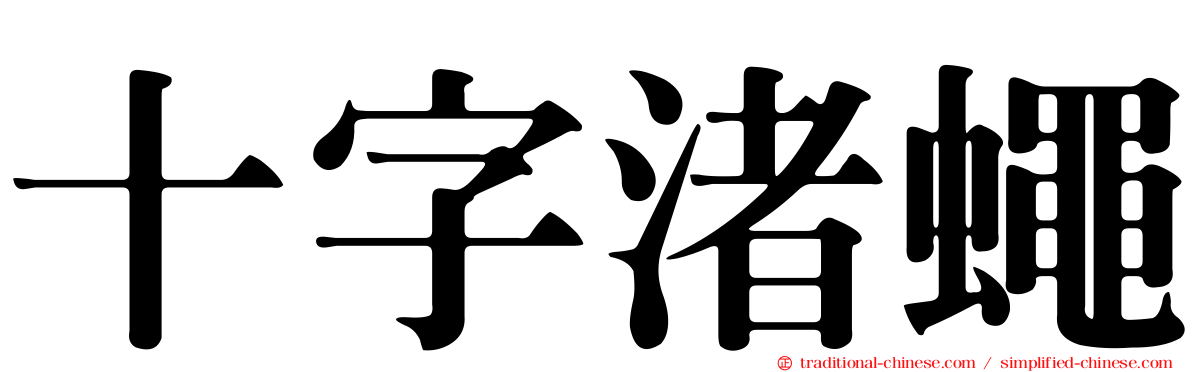 十字渚蠅