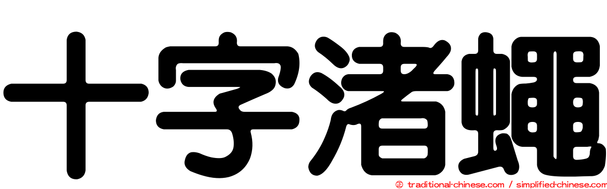 十字渚蠅
