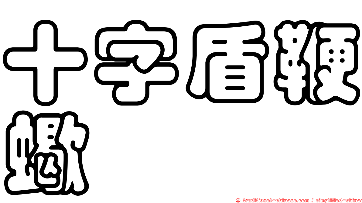 十字盾鞭蠍