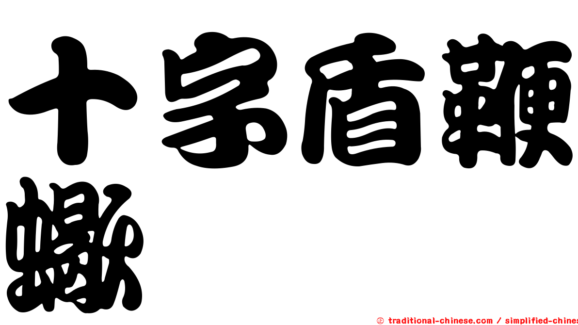 十字盾鞭蠍