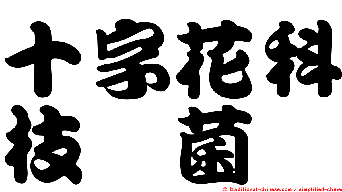 十字花科枝孢菌