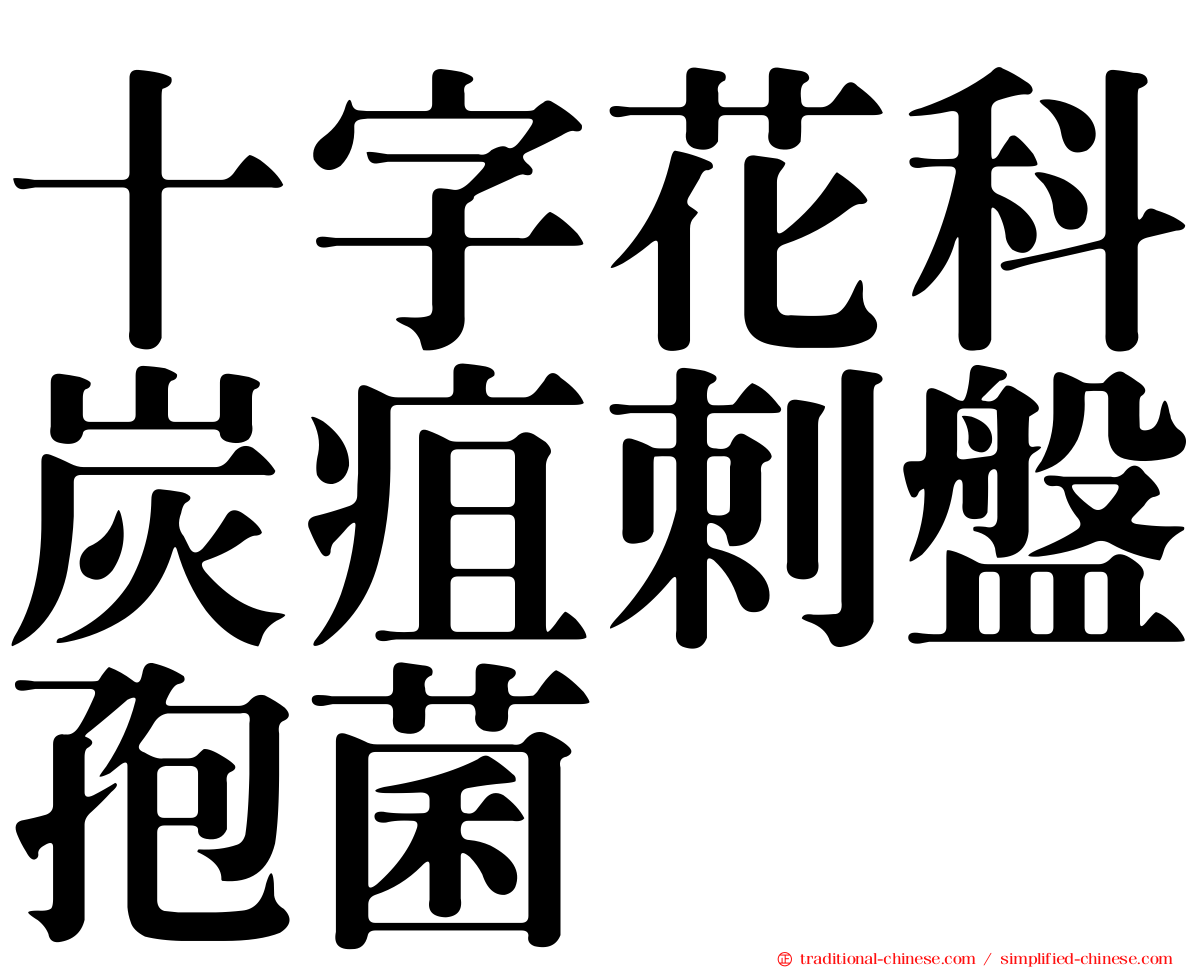 十字花科炭疽刺盤孢菌