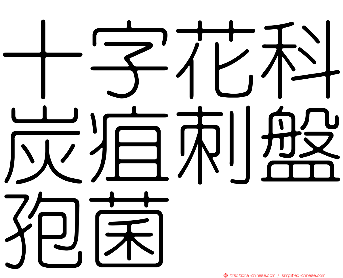 十字花科炭疽刺盤孢菌