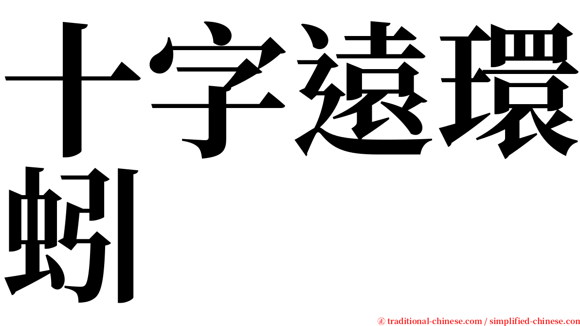 十字遠環蚓 serif font