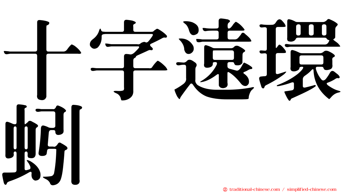 十字遠環蚓