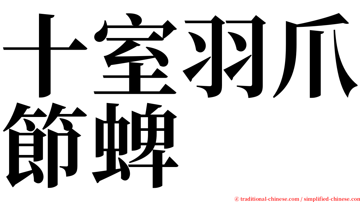 十室羽爪節蜱 serif font