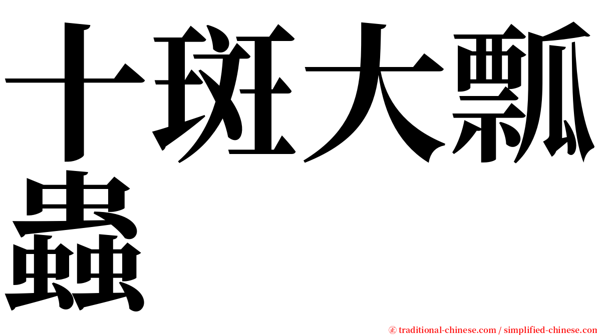 十斑大瓢蟲 serif font