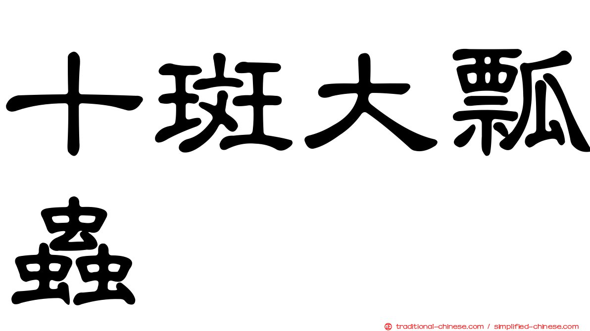 十斑大瓢蟲