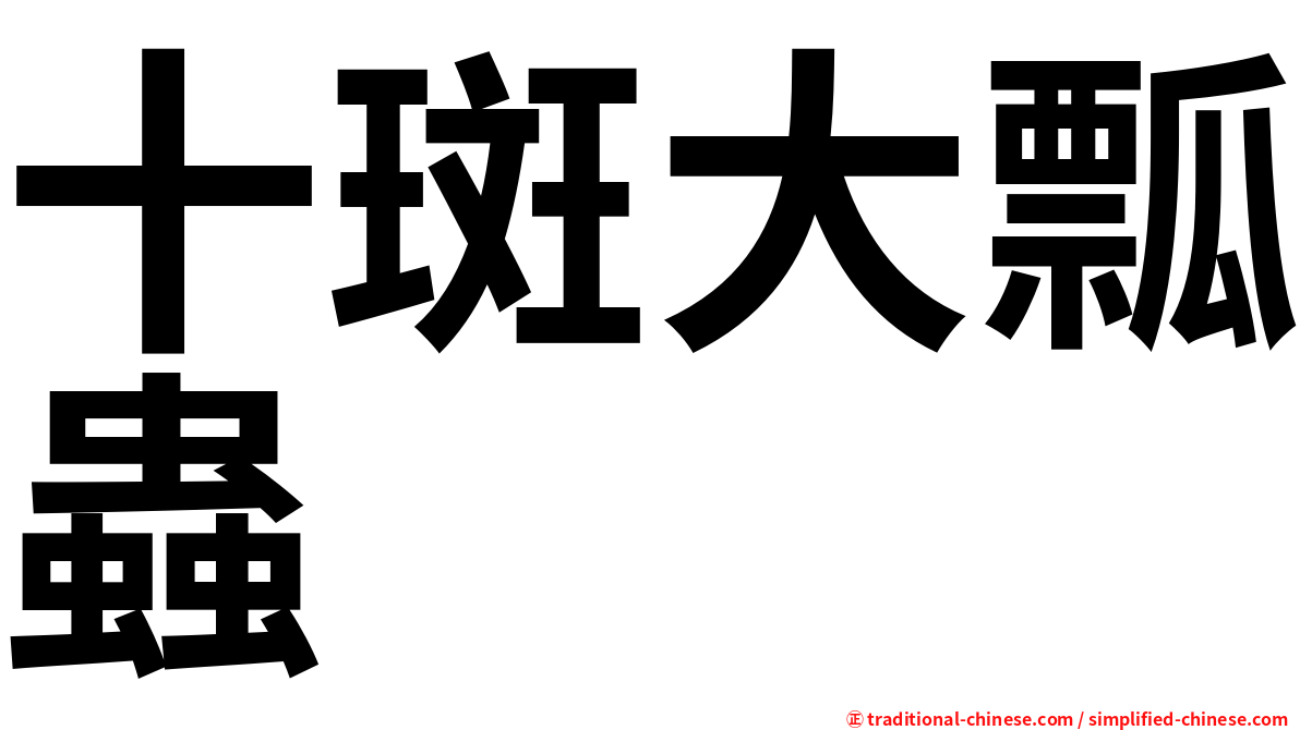 十斑大瓢蟲
