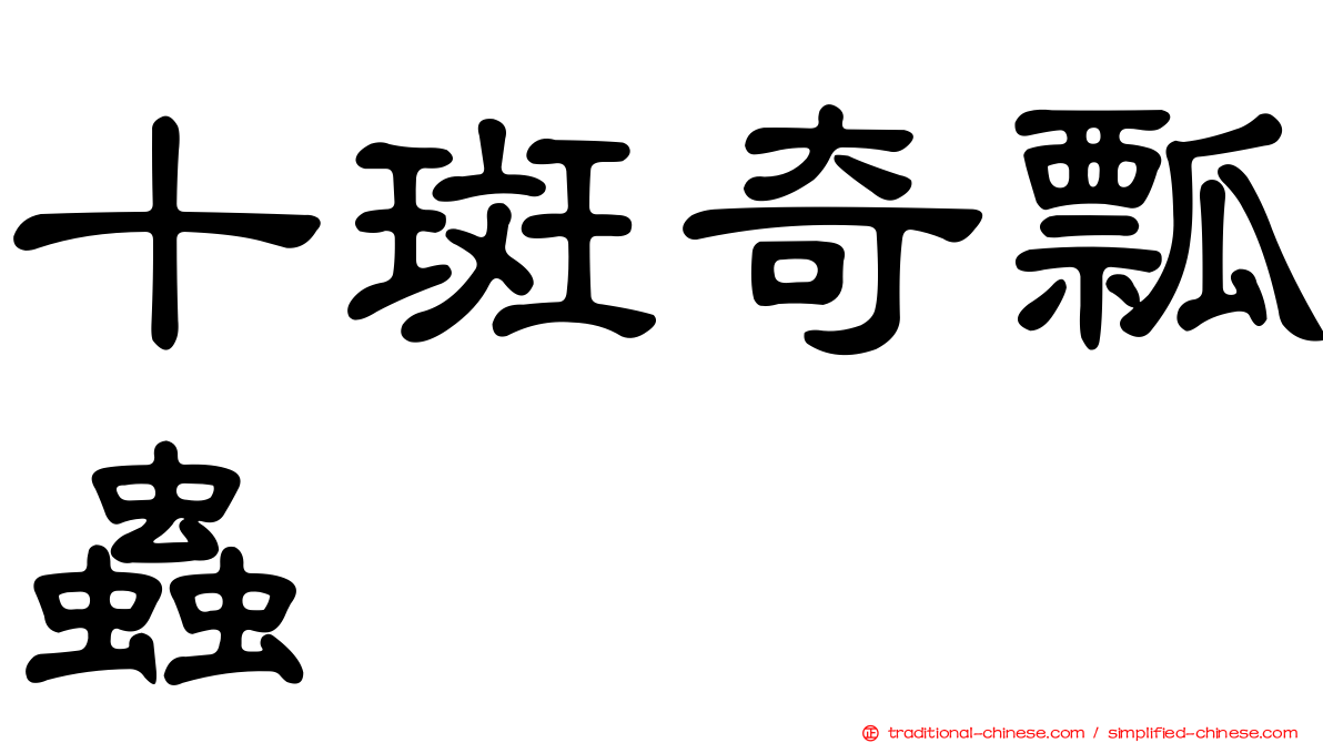 十斑奇瓢蟲