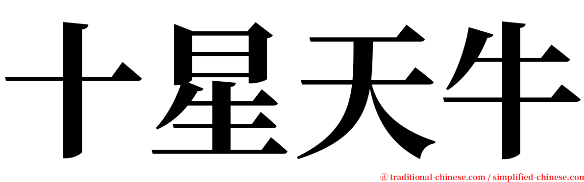 十星天牛 serif font