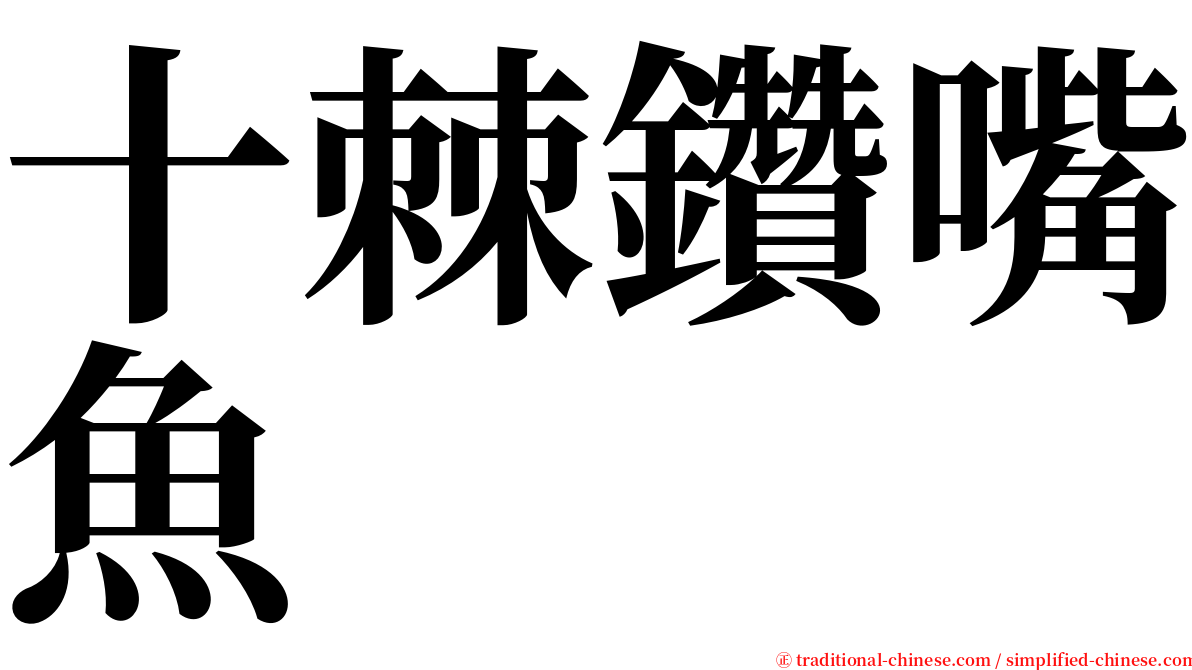十棘鑽嘴魚 serif font