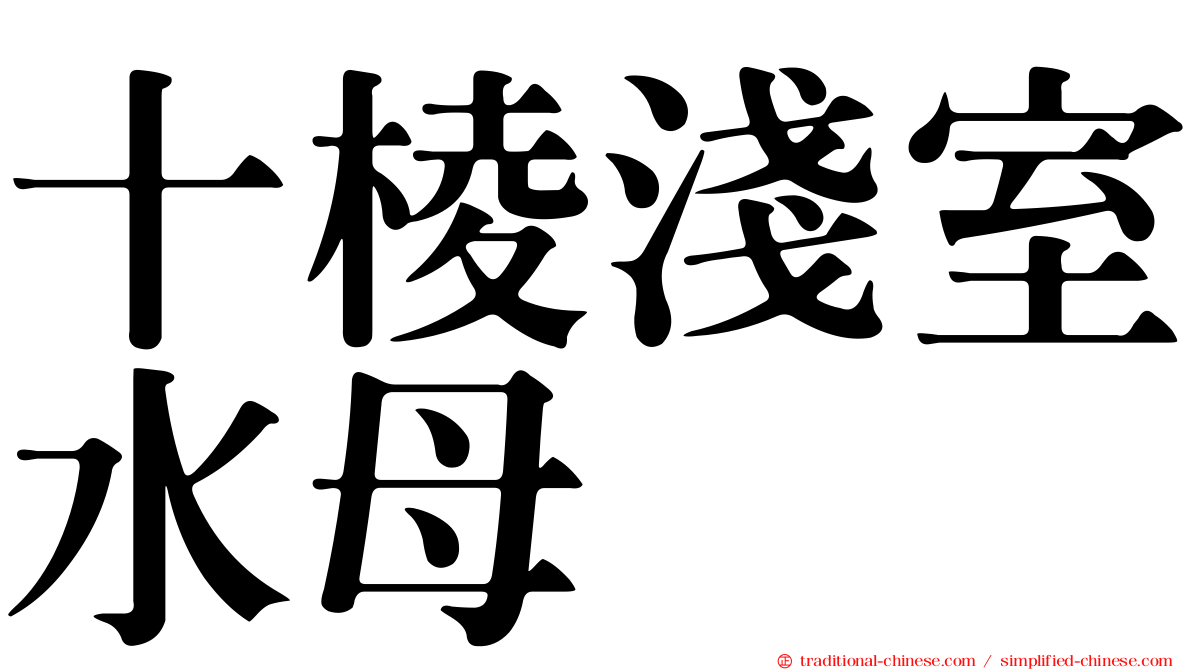 十棱淺室水母