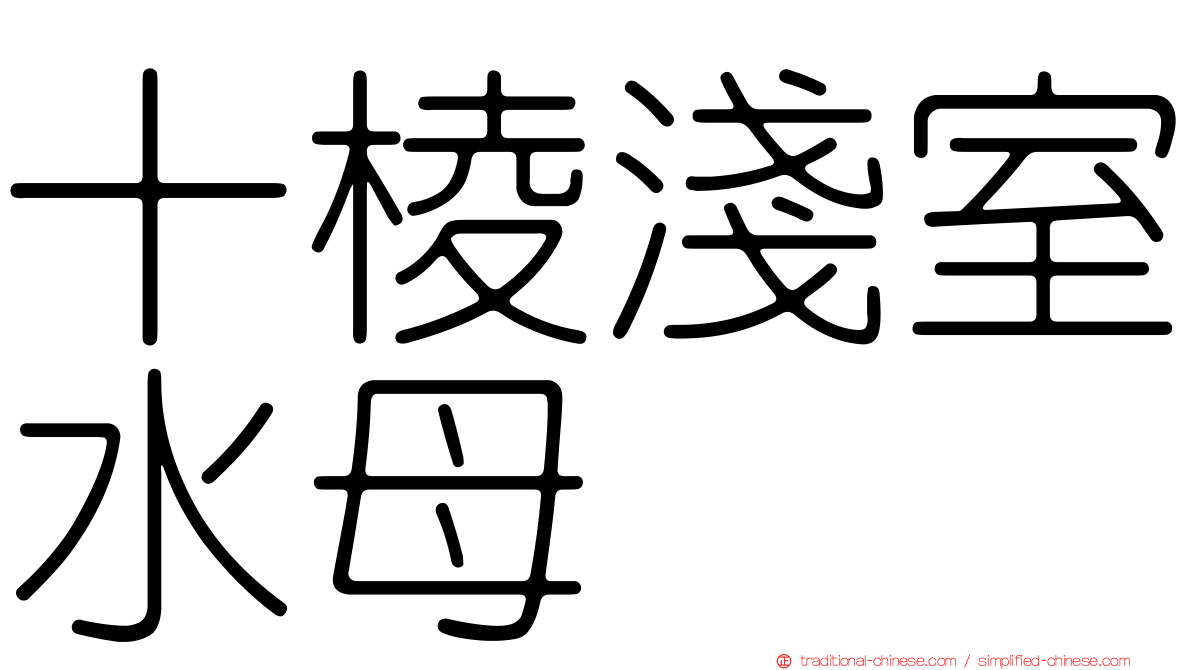 十棱淺室水母