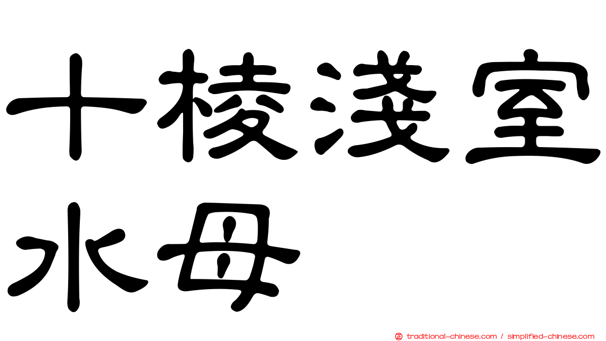 十棱淺室水母